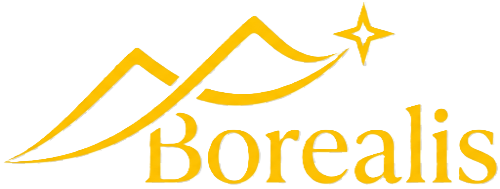 BorealisBI